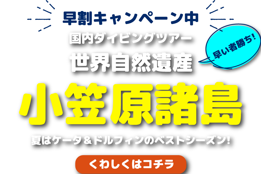 早割キャンペーン中！小笠原諸島2024