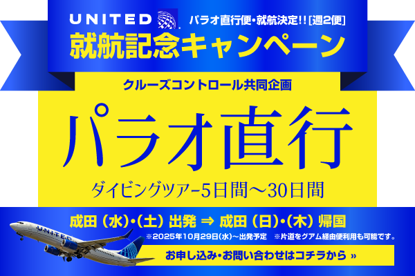 ユナイテッド航空就航記念キャンペーン　パラオ直行ダイビングツアー